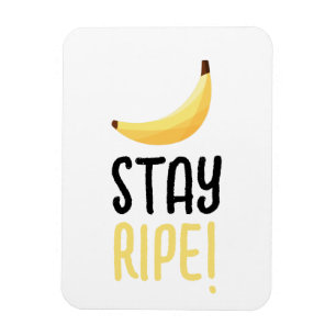 Íman Dívidas Favoritas de Banana Retro Engraçadas Puns 