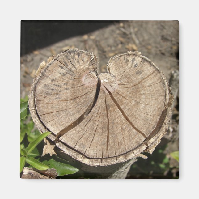 Íman Dividir Magnetos de Bomba Cardíaca (Frente)