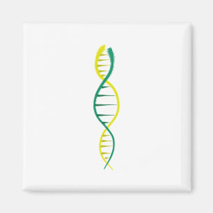 ÍMAN DNA