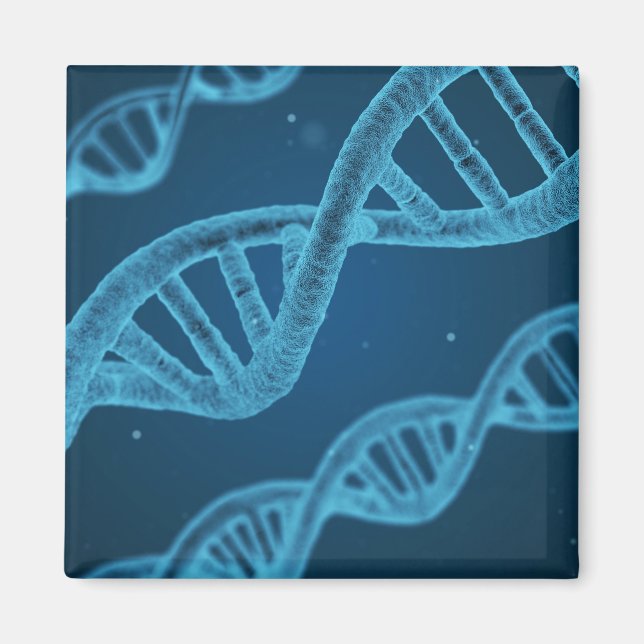 Íman DNA Double Helix (Frente)