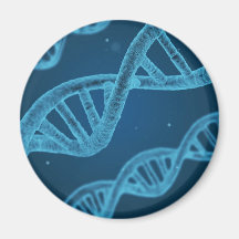 DNA Double Helix