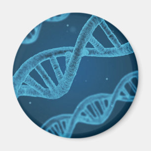 Íman DNA Double Helix