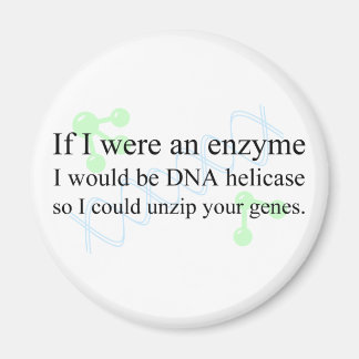 Íman DNA Helicase