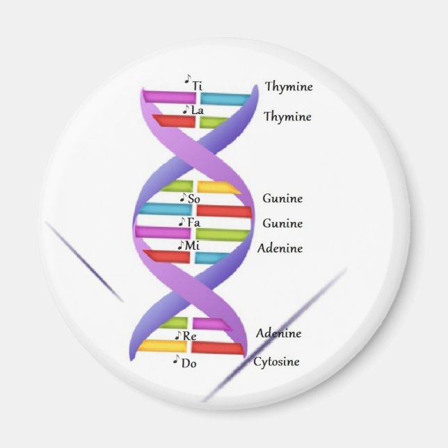 Íman DNA Magnet (Frente)