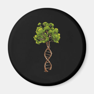 Íman Dna Tree Of Life Science Genetics Biology Environm