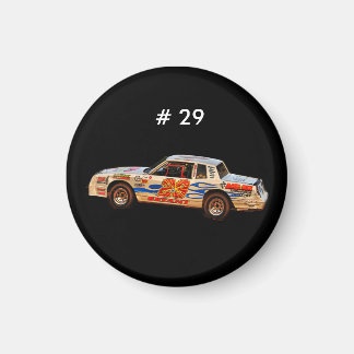 íman do carro 29