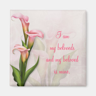 Íman ~ do ímã do rosa do lírio de Calla meu amado