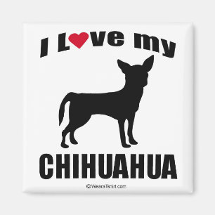 ÍMAN DO "RAÇA CÃO" - CHIHUAHUA - "EU AMO MINHA