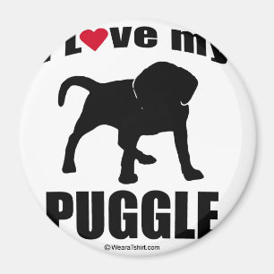 ÍMAN DO "RAÇA CÃO" - PUGGLE - "EU AMO MEU PUGGLE "