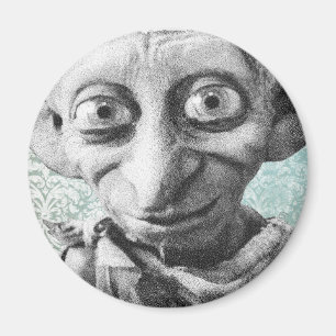 Íman Dobby 4