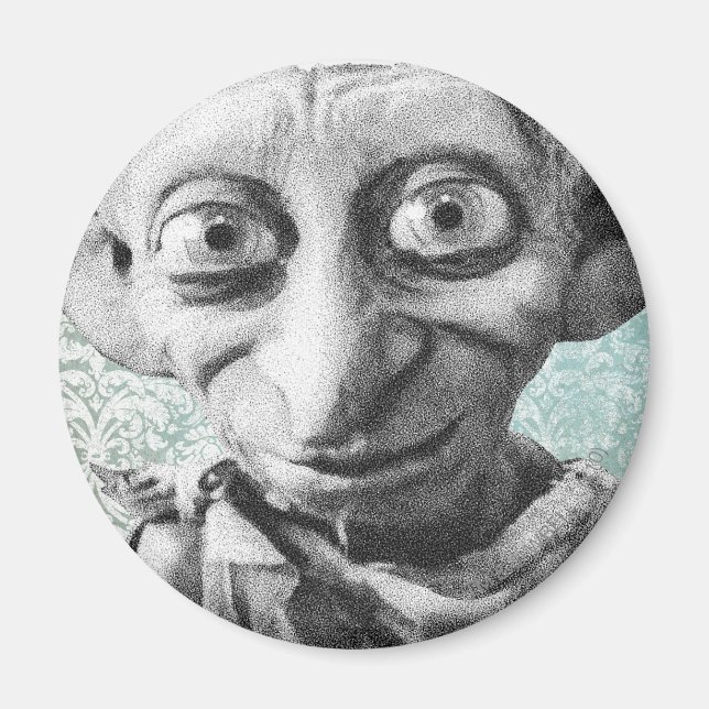 Íman Dobby 4 (Frente)