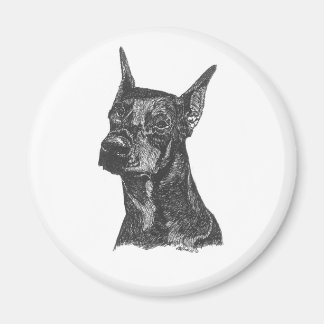 Íman Doberman Pincher Magnet