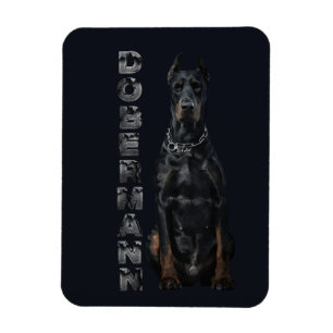 Íman Doberman Pinscher