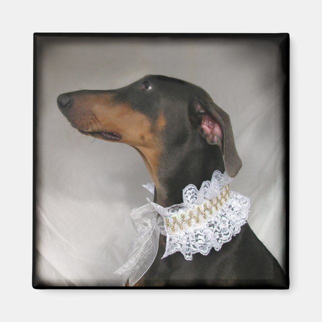 Íman Doberman Pinscher, azul Elegante (Frente)