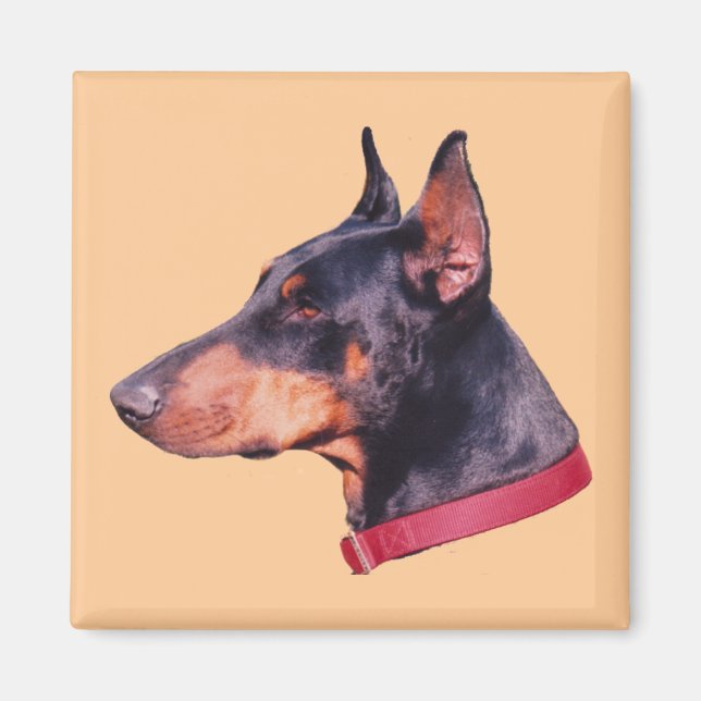 Íman Doberman Pinscher Dog (Frente)