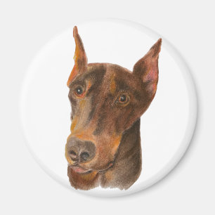 Íman Doberman Pinscher Magnet Redonda
