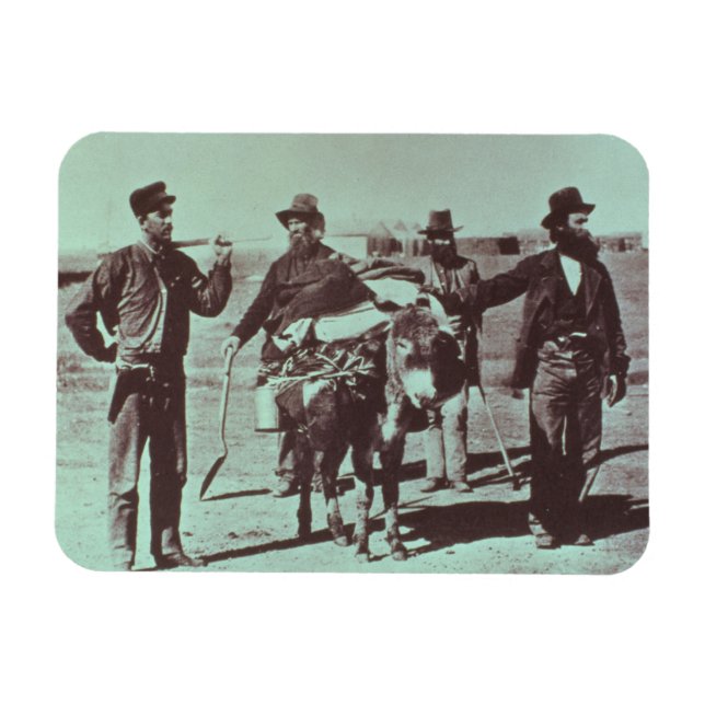 Íman Docadores de ouro da América do Norte, c.1849 (b/c (Horizontal)