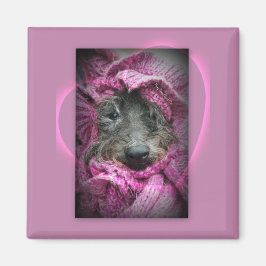 Íman Doce coração