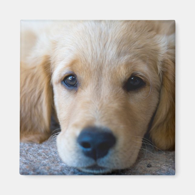 Íman Doce, Doce (Frente)