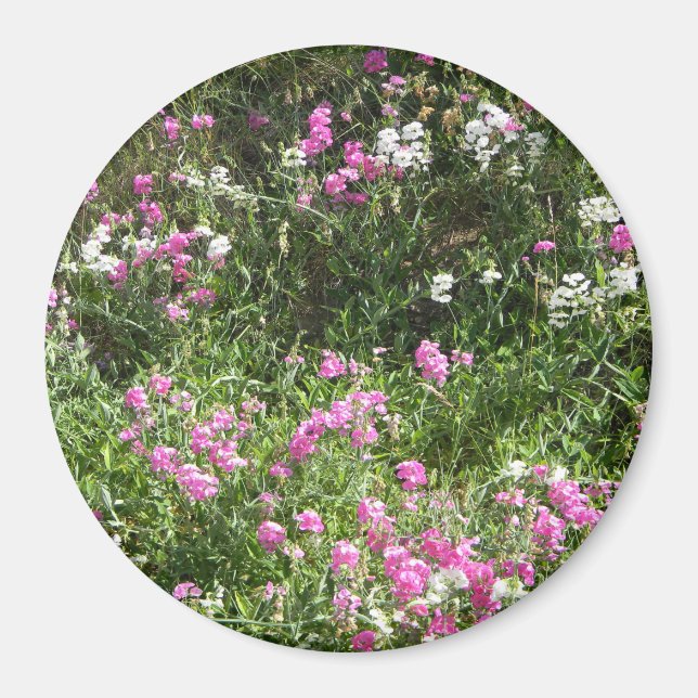 Íman Doces em Primavera... (Frente)