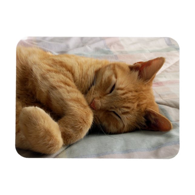 Íman Doces Sonhos (Horizontal)