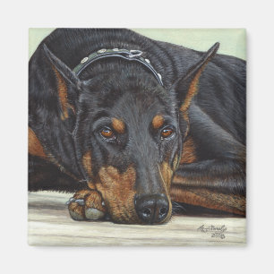Íman Dog Doberman