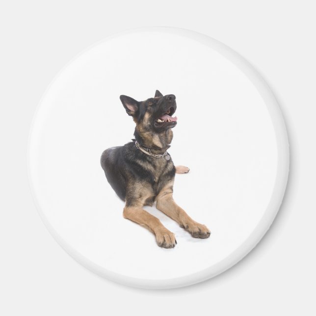 Íman dog - german shepherd (Frente)