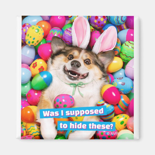 Íman Dog Laying on Easter Eggs (Frente)