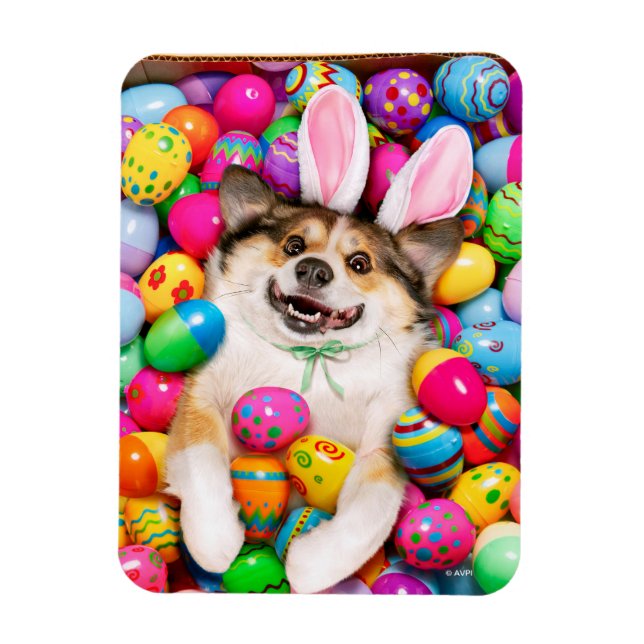 Íman Dog Laying on Easter Eggs (Vertical)
