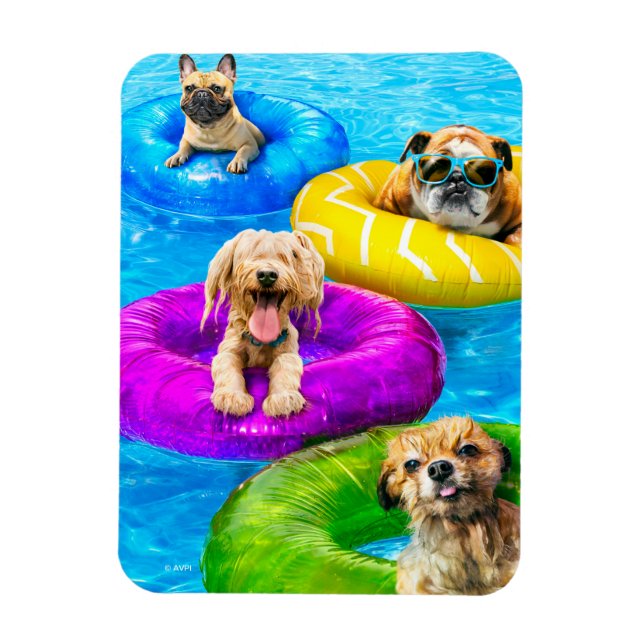 Íman Dog Pool Party (Vertical)