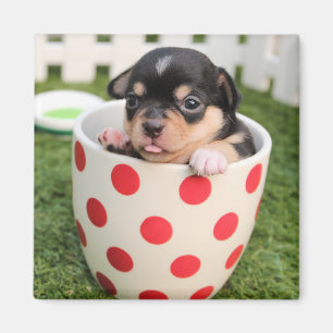 Íman Doggy pequeno no copo