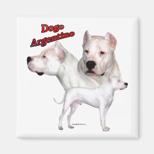 Íman Dogo Argentino Trio 2 - Magnet
