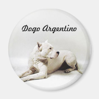 Íman dogo, Dogo Argentino