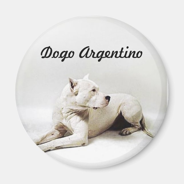 Íman dogo, Dogo Argentino (Frente)
