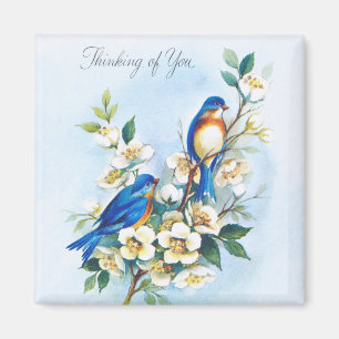 Íman Dois Bluebirds