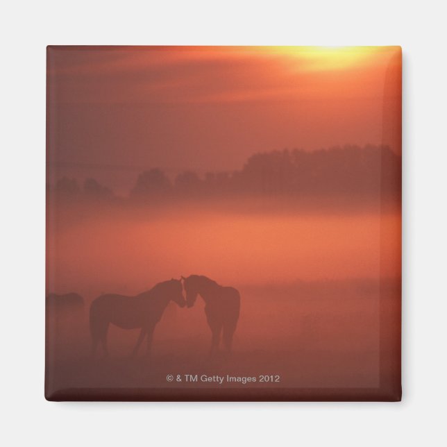 Íman Dois cavalos no pôr do sol (Frente)