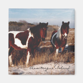 Íman Dois Cavalos Selvagens de Assateague - Magnet