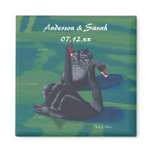 Dois Cisnes Negros Nadando Magnetos Personalizados