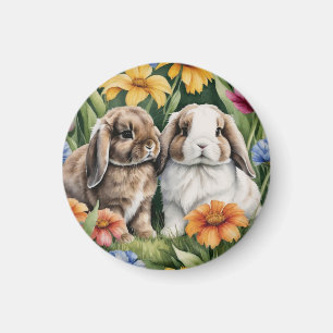 Íman Dois coelhos coelhos coelhinhos de Lop Pequeno