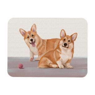 Íman Dois Corgis Cute