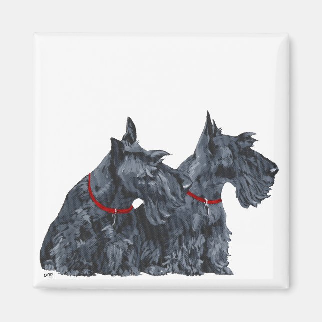 Íman Dois curiosos terriers escoceses (Frente)