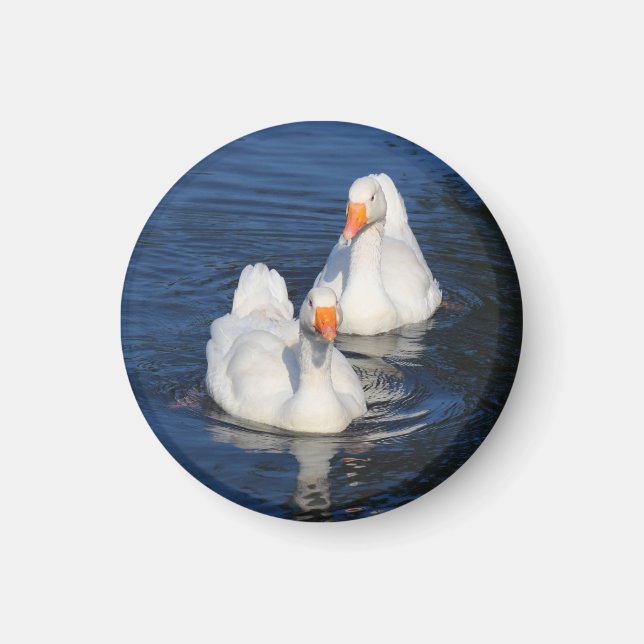 Íman Dois Emden Geese II (Frente)