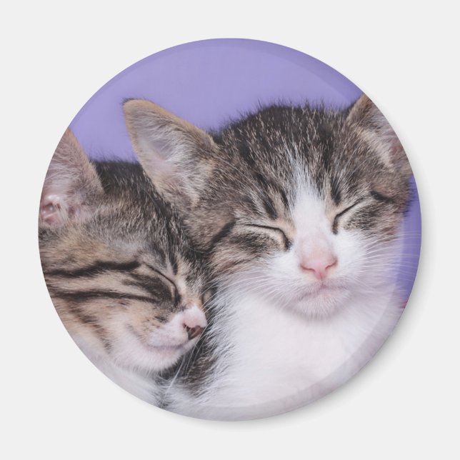 Íman Dois Gatinhos Cutes A Andar (Frente)