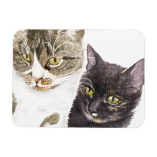 Íman Dois gatos - tabby e tortie