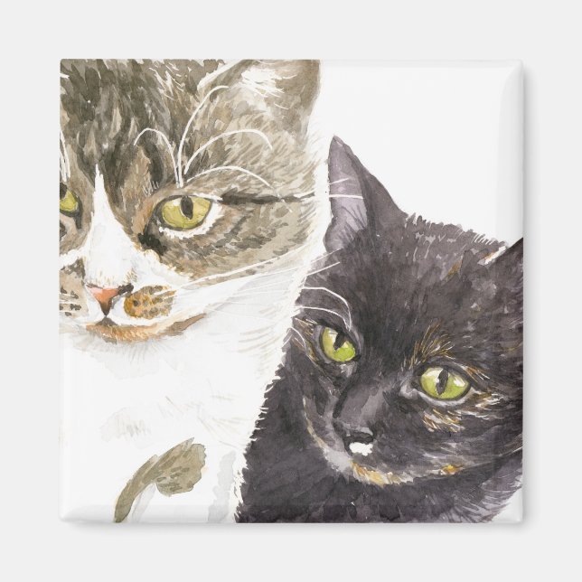 Íman Dois gatos - tabby e tortie (Frente)