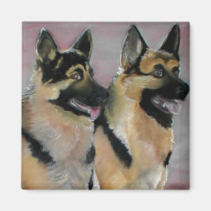 Íman Dois German shepherd majestosos de Raça K9 Cana