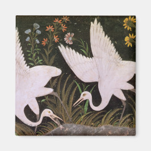 Íman Dois guindastes na borda de uma lagoa