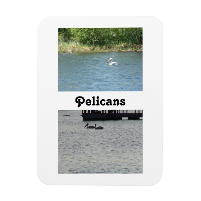 Íman Dois ímã flexível pelicanos (Vertical)