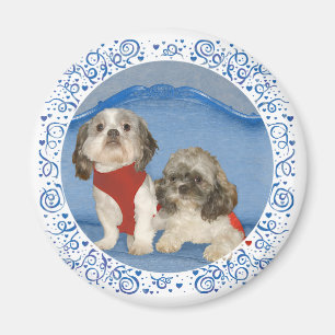 Íman Dois Pequenos Cachorros Resgatados Shih Tzu