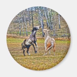 Íman Dois Pinto Pintor Cavalos de Equina Design